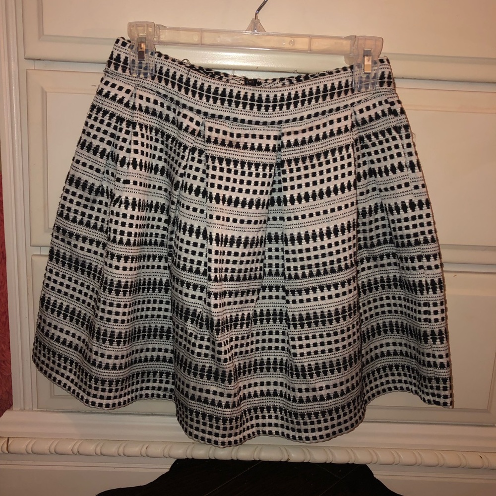 Francesca’s Collection Skirt